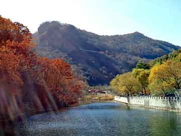 佛山包装设计(佛山弘森包装机械有限公司怎么样) 